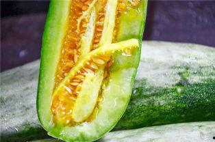 吃瓜原创网红,揭秘吃瓜原创网红的爆红之路 第2张 吃瓜原创网红,揭秘吃瓜原创网红的爆红之路 第2张