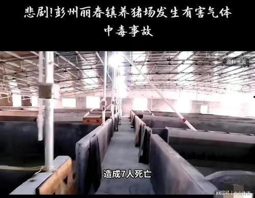 彭州网友爆料新闻事件,惊现神秘事件,真相令人震惊! 第2张 彭州网友爆料新闻事件,惊现神秘事件,真相令人震惊! 第2张